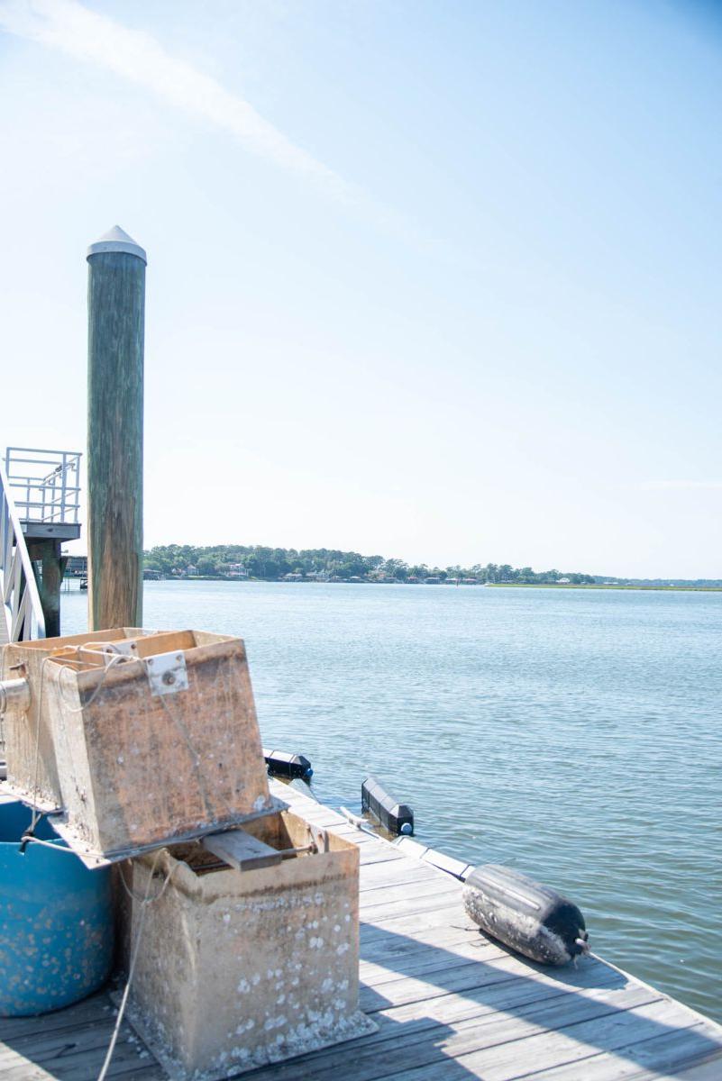 Shellfish Research Lab helps Georgia make strides in oyster aquaculture 